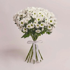 AZALIANOW ЦВЕТЫ. ПОДАРКИ. ДЕКОР Букет из 15 кустовых белых хризантем ромашек без упаковки, Букеты и композиции из живых цветов могут на несколько тонов отличаться от изображений. Часть цвета искажается в зависимости от настроек экран в Летуале