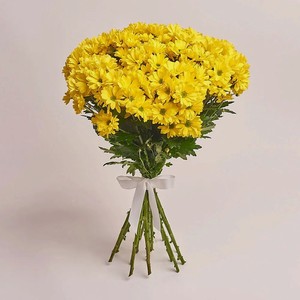 AZALIANOW ЦВЕТЫ. ПОДАРКИ. ДЕКОР Букет из 15 кустовых желтых хризантем оформленных под ленту, Букеты и композиции из живых цветов могут на несколько тонов отличаться от изображений. Часть цвета искажается в зависимости от настроек экр в Летуале