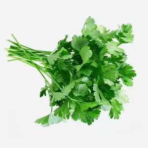 Петрушка свежая ЭКЗОТИКА 100Г в Бристоле