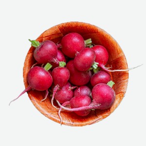 Редис 500г в Магните