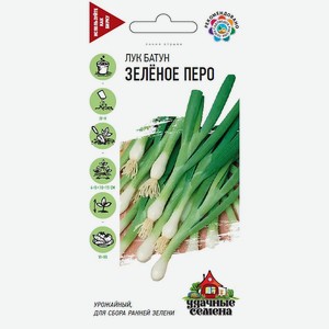 Семена Удачные семена Лук Батун Зеленое перо 0,5г в Дикси