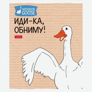 Тетрадь Hatber Гусь-веселюсь в клетку А5 48л в ассортименте 1шт., 1 шт в Пятерочке