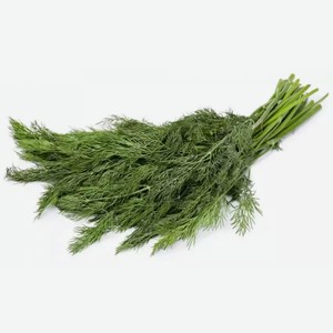 Укроп свежий ЭКЗОТИКА 100Г в Бристоле